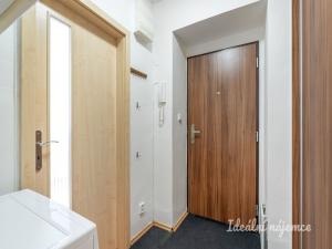 Pronájem bytu 1+kk, Praha - Záběhlice, Svojšovická, 30 m2