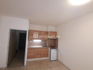 Pronájem bytu 1+kk, Liberec - Liberec I-Staré Město, Ruská, 29 m2