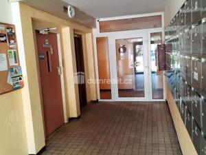 Pronájem bytu 1+kk, Liberec - Liberec I-Staré Město, Ruská, 29 m2