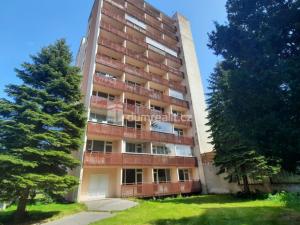 Pronájem bytu 1+kk, Liberec - Liberec I-Staré Město, Ruská, 29 m2