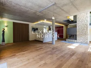 Pronájem vily, Praha - Hlubočepy, Pod útesy, 446 m2