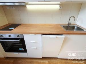 Pronájem bytu 1+kk, Mladá Boleslav - Mladá Boleslav II, Havlíčkova, 27 m2