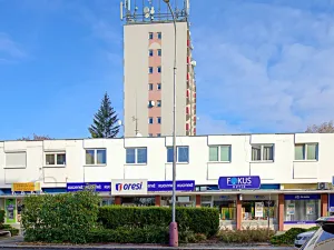 Pronájem obchodního prostoru, Mladá Boleslav, třída T. G. Masaryka, 100 m2