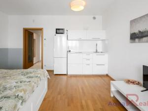 Prodej bytu 1+kk, Praha - Žižkov, Olšanská, 34 m2