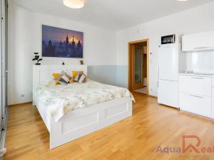 Prodej bytu 1+kk, Praha - Žižkov, Olšanská, 34 m2