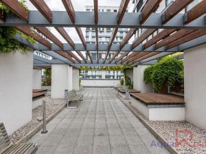Prodej bytu 1+kk, Praha - Žižkov, Olšanská, 34 m2
