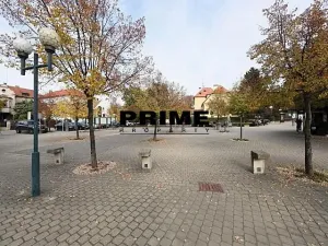 Pronájem rodinného domu, Průhonice, Františka Zemana, 400 m2