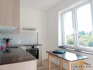 Pronájem bytu 1+1, Nížkovice, 33 m2
