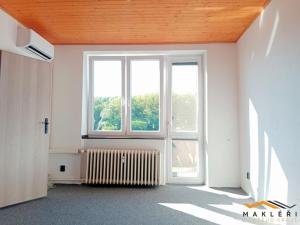 Pronájem bytu 1+1, Nížkovice, 33 m2