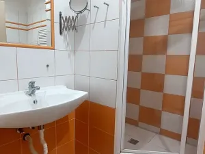 Prodej bytu 2+kk, Praha - Nusle, Plamínkové, 40 m2