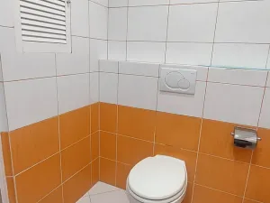 Prodej bytu 2+kk, Praha - Nusle, Plamínkové, 40 m2