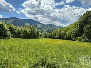 Prodej pozemku, Ostravice, 2671 m2