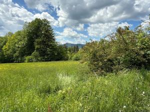 Prodej pozemku, Ostravice, 2671 m2
