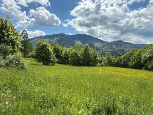 Prodej pozemku, Ostravice, 8947 m2