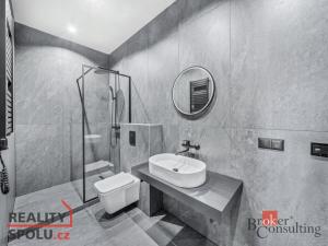 Prodej bytu 2+kk, Hořany, 42 m2