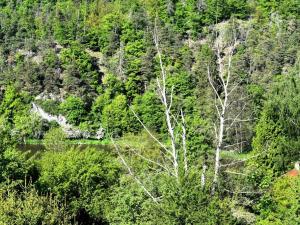 Prodej chaty, Hromnice - Planá, 120 m2