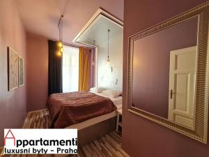 Pronájem bytu 3+kk, Praha - Nové Město, Truhlářská, 63 m2