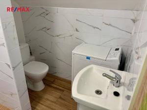 Pronájem bytu 1+kk, Libeř, 36 m2