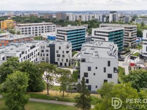 Prodej bytu 2+kk, Praha - Žižkov, Olgy Havlové, 45 m2