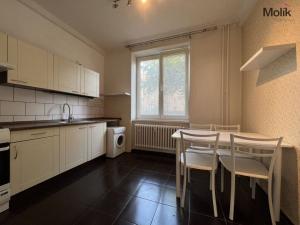 Prodej bytu 1+1, Ústí nad Labem - Klíše, Alešova, 38 m2