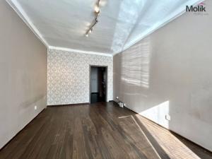 Prodej bytu 1+1, Ústí nad Labem - Klíše, Alešova, 38 m2