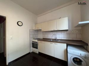 Prodej bytu 1+1, Ústí nad Labem - Klíše, Alešova, 38 m2