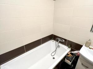 Prodej bytu 1+1, Ústí nad Labem - Klíše, Alešova, 38 m2