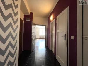 Prodej bytu 1+1, Ústí nad Labem - Klíše, Alešova, 38 m2