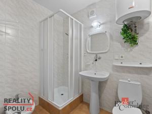 Prodej ubytování, Malá Úpa, 526 m2
