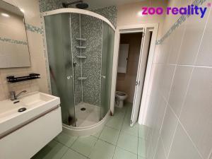 Pronájem bytu 2+1, Žatec, Jaroslava Vrchlického, 62 m2