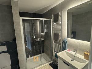 Pronájem bytu 1+kk, Kroměříž, Gen. Šišky, 45 m2