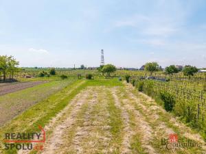 Prodej pozemku pro bydlení, Kly - Hoření Vinice, 785 m2