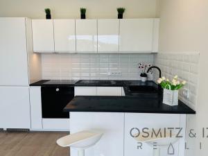 Pronájem bytu 2+kk, Praha - Modřany, Československého exilu, 53 m2