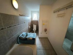 Prodej vícegeneračního domu, Sulejovice, 200 m2
