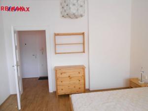 Pronájem bytu 1+1, Brno - Štýřice, Polní, 55 m2