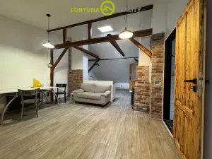 Prodej rodinného domu, Dolní Benešov - Zábřeh, Opavská, 338 m2