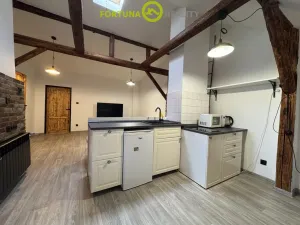 Prodej rodinného domu, Dolní Benešov - Zábřeh, Opavská, 338 m2