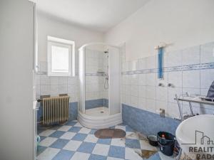 Prodej rodinného domu, Ždírec nad Doubravou, Družstevní, 250 m2