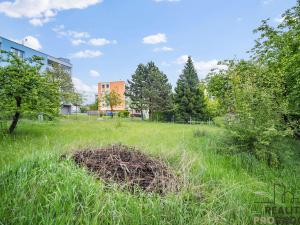 Prodej rodinného domu, Ždírec nad Doubravou, Družstevní, 250 m2