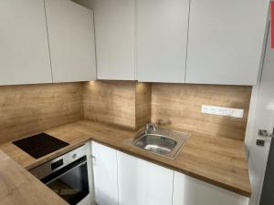 Pronájem bytu 1+kk, Opava, Holasická, 21 m2