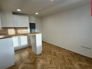 Pronájem bytu 1+kk, Opava, Holasická, 21 m2