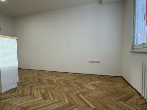 Pronájem bytu 1+kk, Opava, Holasická, 21 m2