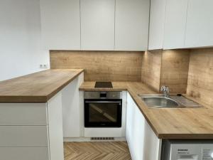 Pronájem bytu 1+kk, Opava, Holasická, 21 m2