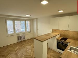 Pronájem bytu 1+kk, Opava, Holasická, 21 m2