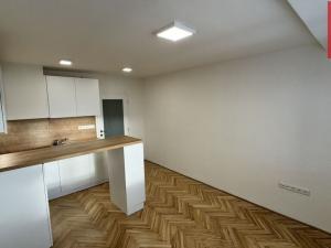 Pronájem bytu 1+kk, Opava, Holasická, 21 m2