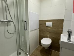 Pronájem bytu 1+kk, Opava, Holasická, 21 m2