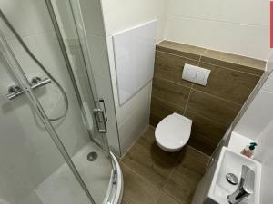 Pronájem bytu 1+kk, Opava, Holasická, 21 m2