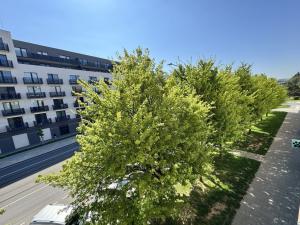 Prodej bytu 2+1, Olomouc, Wolkerova, 58 m2