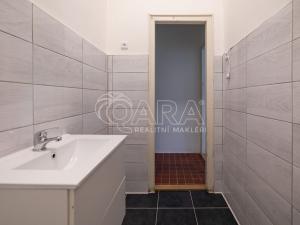 Prodej bytu 1+kk, Praha - Strašnice, Starostrašnická, 20 m2