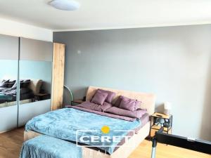 Prodej vícegeneračního domu, Žatec, Chomutovská, 300 m2
